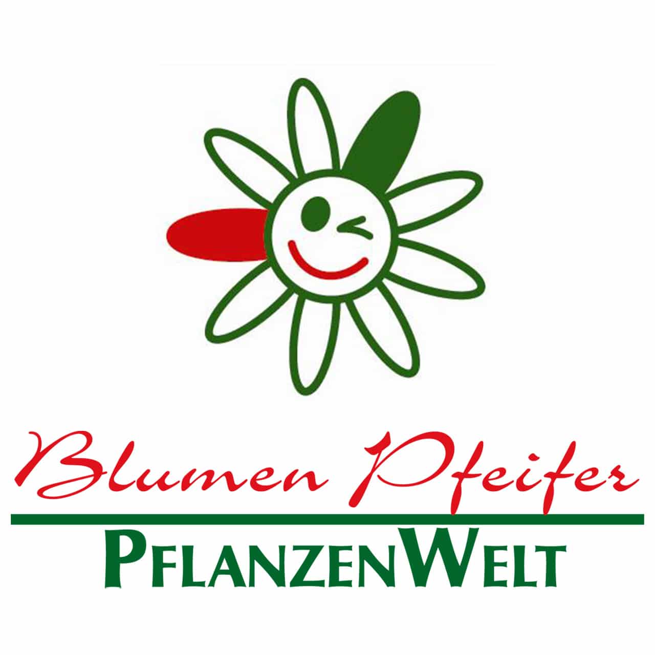 Bild von der Webseite von Blumen Pfeifer